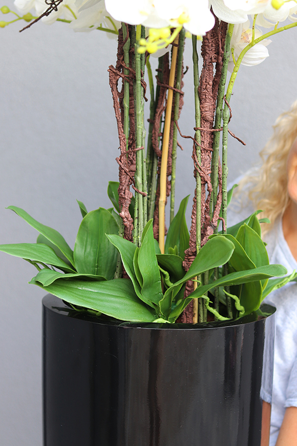 Black Grande Fiberglass, gumowy storczyk w czarnej donicy z fiberglass (połysk), wys.140cm 