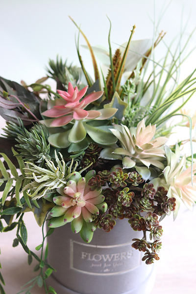 Suculentas Velvett, welurowy flowerbox z sukulentami, wys.41cm 