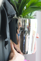 elegancki storczyk w srebrnej donicy Tacola, wys.67cm