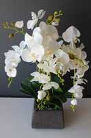 storczyk sztuczny Beata w donicy przypominającej kamień, wys.65cm