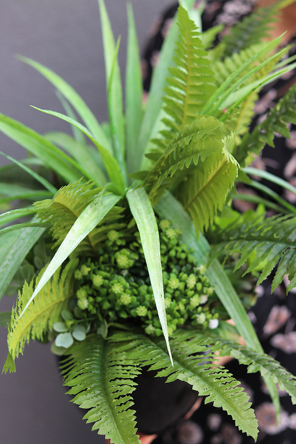 Greenera, efektowna kompozycja Sukulenty w czarnej donicy, wys.43cm