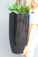 Black Grande Fiberglass, gumowy storczyk w czarnej donicy z fiberglass (połysk), wys.140cm 