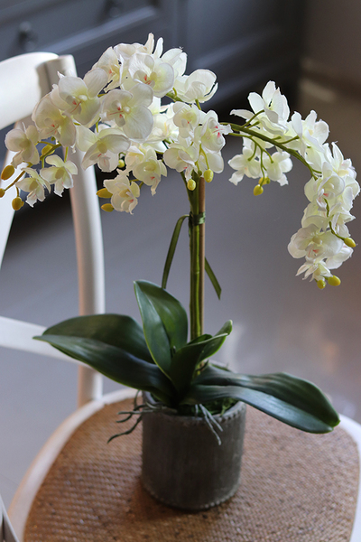 Ivonne Kulena, sztuczny storczyk w etno donicy, wys.52cm