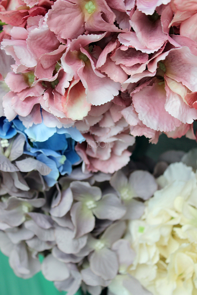 Kolorowa Hortensja 2 wianek, śr.36cm  