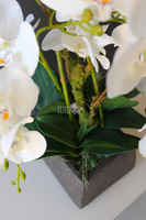 storczyk sztuczny Beata w donicy przypominającej kamień, wys.65cm