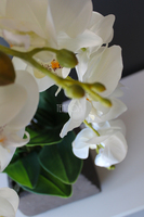 storczyk sztuczny Beata w donicy przypominającej kamień, wys.65cm