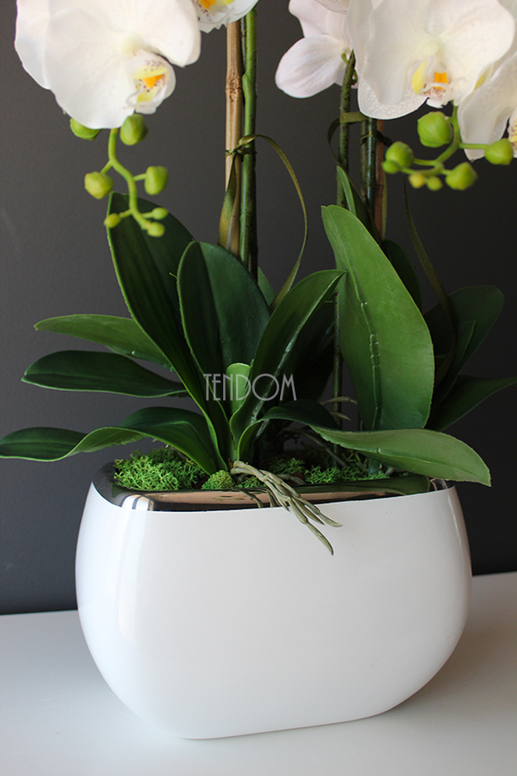 Glamour mniejszy storczyk w białej podłużnej donicy, wys.51cm