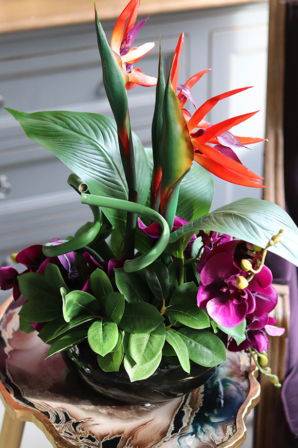 kompozycja ze strelicją i orchideą, Derosa wys.53cm