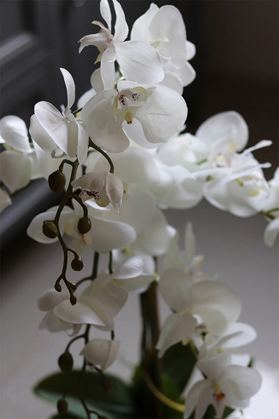 Aurelia Silver, elegancki storczyk w srebrnej donicy, wys.76cm 