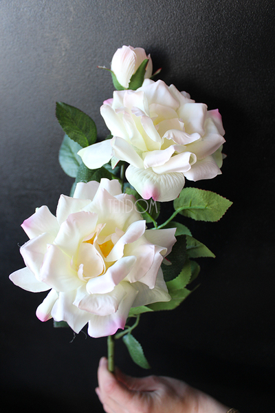 róża jasnoróżowa Romantic Cottage, dł.70cm