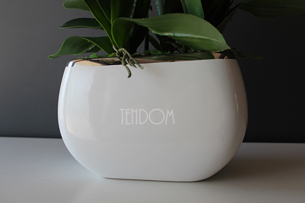 Glamour mniejszy storczyk w białej podłużnej donicy, wys.51cm