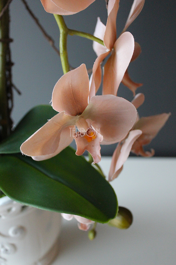 Cappucino storczyk w białej ażurowej donicy, wys.55cm