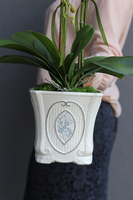 Genolla, sztuczny storczyk w zdobionej kwadratowej donicy, wys.57cm