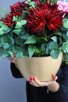 Astry Bordo New, kompozycja kwiatowa nagrobna, wym.47x55cm