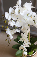 Aurelia Silver, elegancki storczyk w srebrnej donicy, wys.76cm 