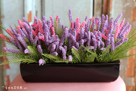 Cipriano Wrzosy, kompozycja kwiatowa w czarnej donicy, wym.20x40cm