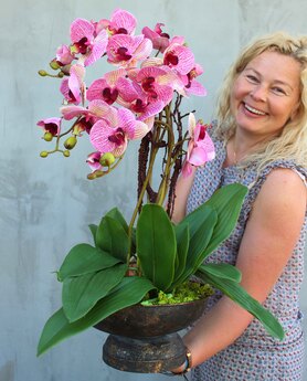 bardzo elegancki storczyk w metalowym pucharze Castellamare, wys.64cm