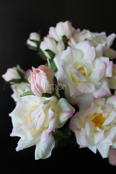 róża jasnoróżowa Romantic Cottage, dł.70cm