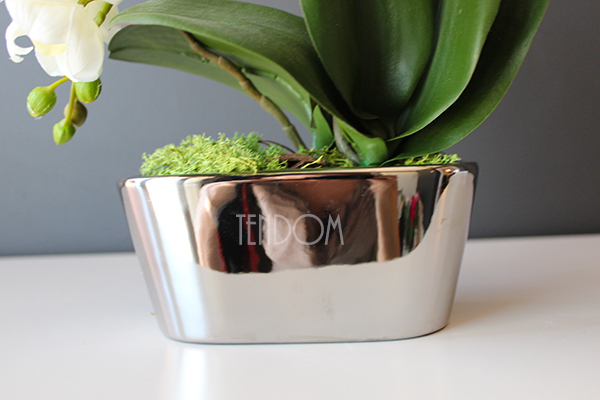 storczyk Mini Silver w minimalistycznej donicy, wys.30cm