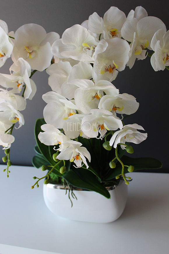 Glamour mniejszy storczyk w białej podłużnej donicy, wys.51cm