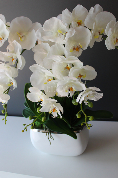 Glamour mniejszy storczyk w białej podłużnej donicy, wys.51cm