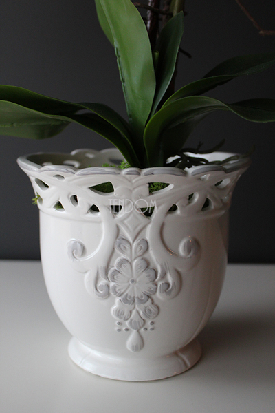 Cappucino storczyk w białej ażurowej donicy, wys.55cm