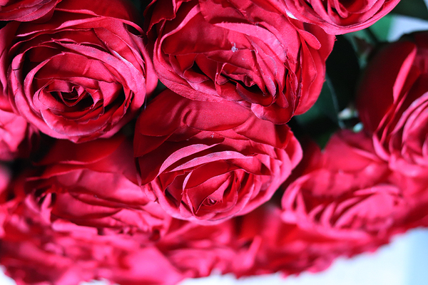 bukiet 25-ciu czerwonych róż, Love, wys. 60cm 