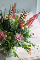 Albertina Design 2, kompozycja z sukulentami, wym.36x30cm