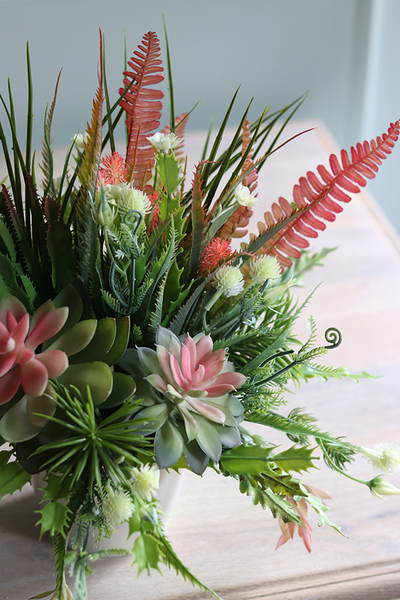 Albertina Design 2, kompozycja z sukulentami, wym.36x30cm