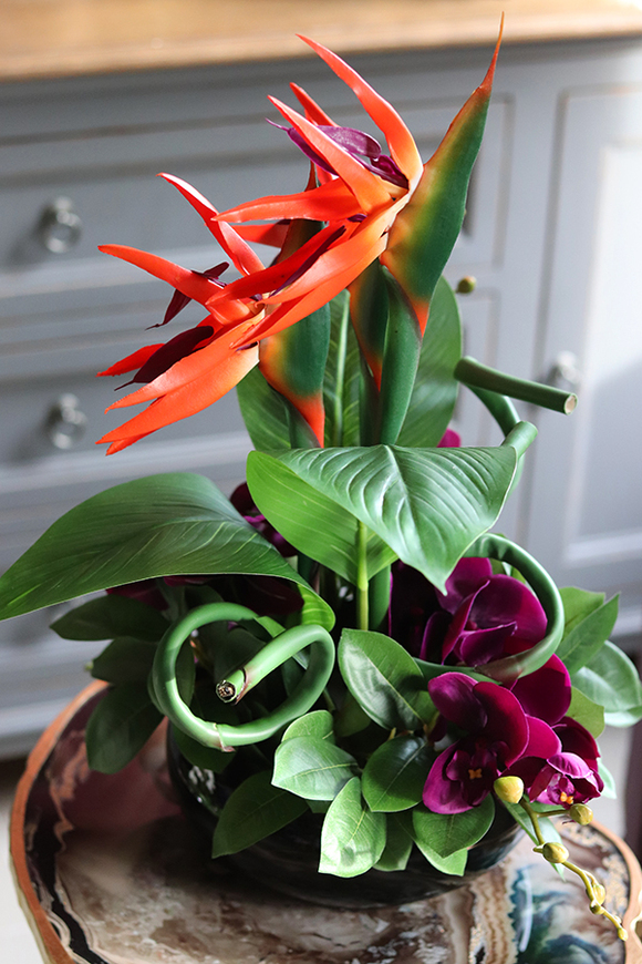 kompozycja ze strelicją i orchideą, Derosa wys.53cm