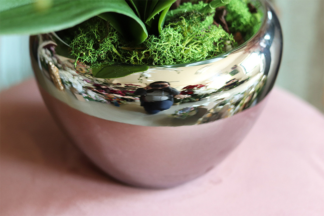 Aurelia Silver, elegancki storczyk w srebrnej donicy, wys.76cm 