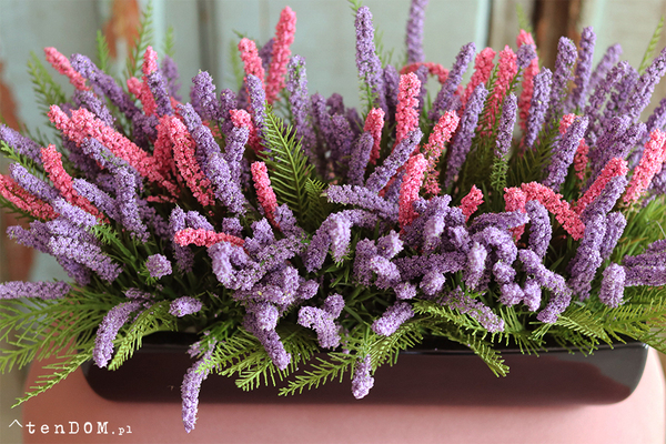 Cipriano Wrzosy, kompozycja kwiatowa w czarnej donicy, wym.20x40cm