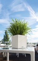 Cube Cottage, elegancka donica z nawadnianiem, biała, wym.30x30cm