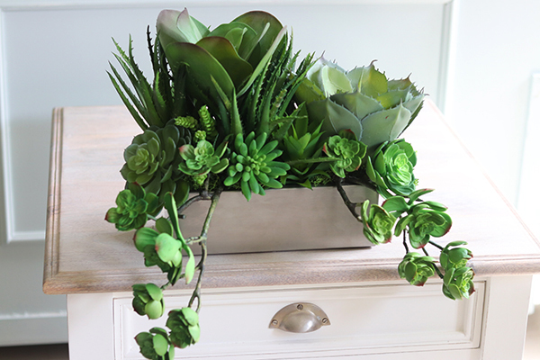 Anrato Steel, kompozycja z sukulentami w stalowej donicy, wys.28cm