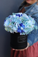 flowerbox z kwiatami, Niebieska Hortensja, wym.29x28cm