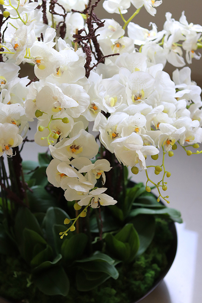 bardzo duży gumowy storczyk Fire Grande Silicone, wys.80cm