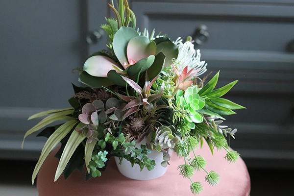 Albertina, kompozycja z sukulentami, wym.27x27cm