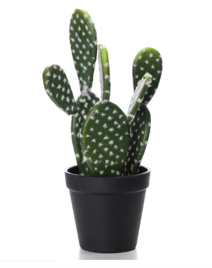 Diego, kaktus, wysokiej jakości sztuczna roślina, wys.30cm