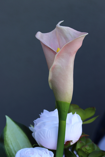 Kallena, komplet kompozycji nagrobnych, kompozycja + bukiet