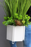 Canada, sztuczna trawa z sukulentami w kremowej donicy, wys.75cm