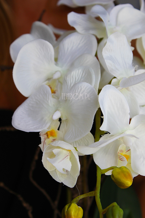 sztuczny storczyk w pięknej donicy Paloma, wys.55cm