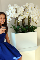 bardzo duży storczyk Hotel Design White Grande w donicy, wys.105cm 