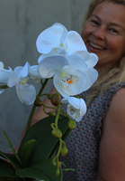 niewielkich rozmiarów sztuczny storczyk Srebrna Dolina, wys.44cm