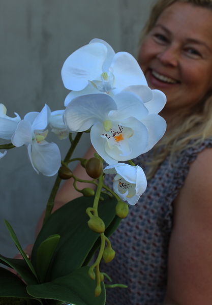niewielkich rozmiarów sztuczny storczyk Srebrna Dolina, wys.44cm