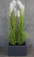 Amaro, kompozycja w szarej donicy Fiberglass z trawami, wys.168cm