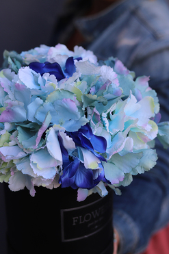 flowerbox z kwiatami, Niebieska Hortensja, wym.29x28cm