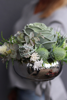 Jalote, kompozycja sukulenty w lustrzanej donicy, wys.12cm