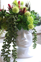 efektowna kompozycja sukulenty w głowie, Crazy Head White, wys.28cm