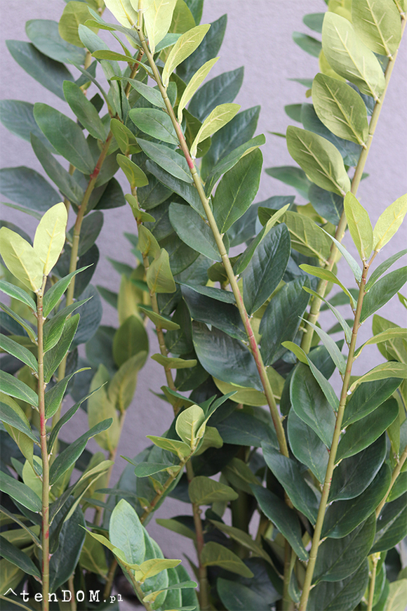 Fiberglass Zamiokulkas, sztuczne drzewka w nowoczesnej donicy, wys.160cm 