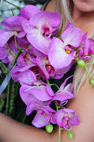 storczyk Asimetrio w białej donicy, wys.57cm